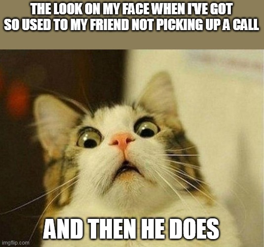 Phone call gets answered | THE LOOK ON MY FACE WHEN I'VE GOT SO USED TO MY FRIEND NOT PICKING UP A CALL; AND THEN HE DOES | image tagged in memes,scared cat,telephone,shocked face,phone call | made w/ Imgflip meme maker