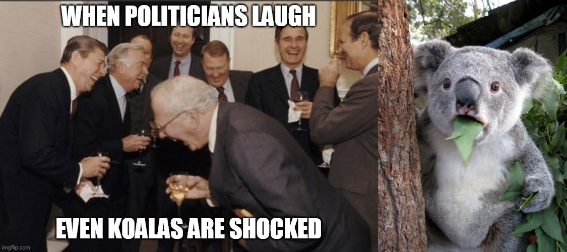 Laughing politicians | WHEN POLITICIANS LAUGH; EVEN KOALAS ARE SHOCKED | image tagged in memes,surprised koala,laughing men in suits | made w/ Imgflip meme maker