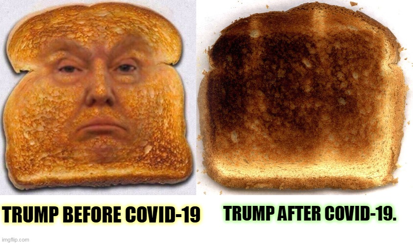 Put a fork in him - he's done. | TRUMP BEFORE COVID-19; TRUMP AFTER COVID-19. | image tagged in trump,toast,burnt toast,over | made w/ Imgflip meme maker