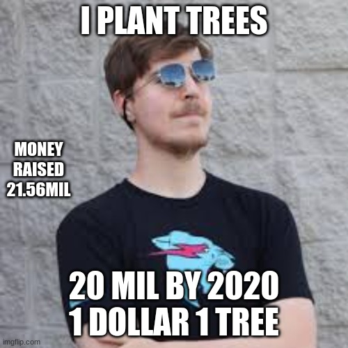 I PLANT TREES; MONEY RAISED 21.56MIL; 20 MIL BY 2020 1 DOLLAR 1 TREE | image tagged in mr beast | made w/ Imgflip meme maker