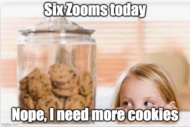 Cookie time | Six Zooms today; Nope, I need more cookies | image tagged in cookie,zoom,more | made w/ Imgflip meme maker