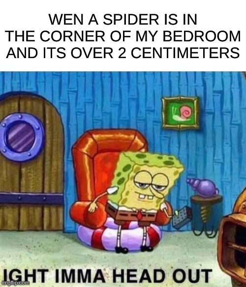 Spongebob Ight Imma Head Out | WEN A SPIDER IS IN THE CORNER OF MY BEDROOM AND ITS OVER 2 CENTIMETERS | image tagged in memes,spongebob ight imma head out | made w/ Imgflip meme maker