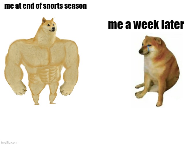 Buff Doge vs. Cheems | me at end of sports season; me a week later | image tagged in memes,buff doge vs cheems,sports | made w/ Imgflip meme maker