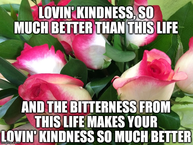Song: Lovin' Kindness; Artist: Jacob's Trouble |  LOVIN' KINDNESS, SO MUCH BETTER THAN THIS LIFE; AND THE BITTERNESS FROM THIS LIFE MAKES YOUR LOVIN' KINDNESS SO MUCH BETTER | image tagged in lovingkindness | made w/ Imgflip meme maker