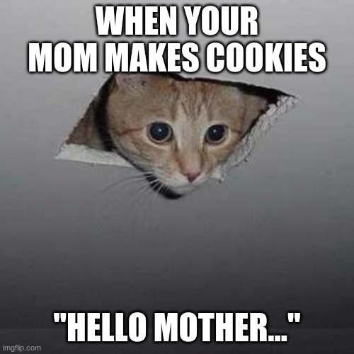 Ceiling Cat Meme | WHEN YOUR MOM MAKES COOKIES; "HELLO MOTHER..." | image tagged in memes,ceiling cat | made w/ Imgflip meme maker