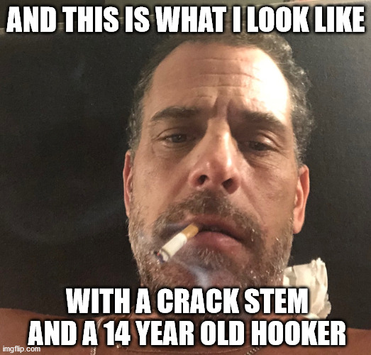 AND THIS IS WHAT I LOOK LIKE WITH A CRACK STEM AND A 14 YEAR OLD HOOKER | made w/ Imgflip meme maker