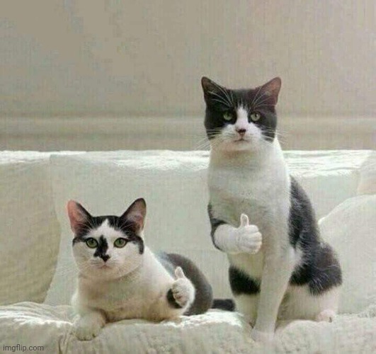 Like | image tagged in like | made w/ Imgflip meme maker