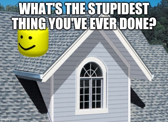 oof on a roof | WHAT'S THE STUPIDEST THING YOU'VE EVER DONE? | image tagged in oof on a roof | made w/ Imgflip meme maker