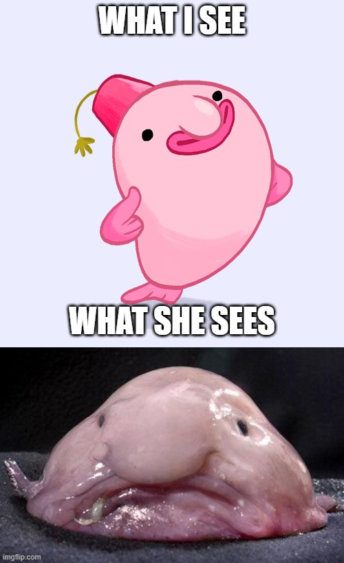 I'm attracted to blobfish - Meme by Breecko :) Memedroid