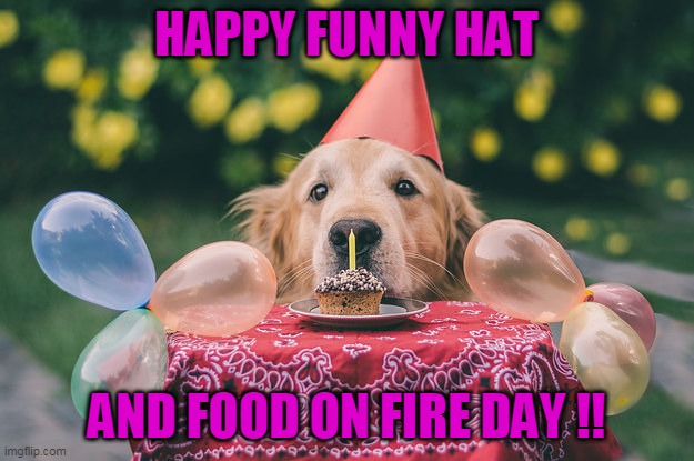 dog birthday Memes & GIFs - Imgflip