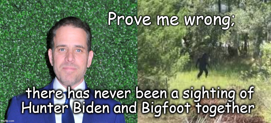 Hunter Biden Sightings | Prove me wrong;; there has never been a sighting of
Hunter Biden and Bigfoot together | image tagged in politics | made w/ Imgflip meme maker