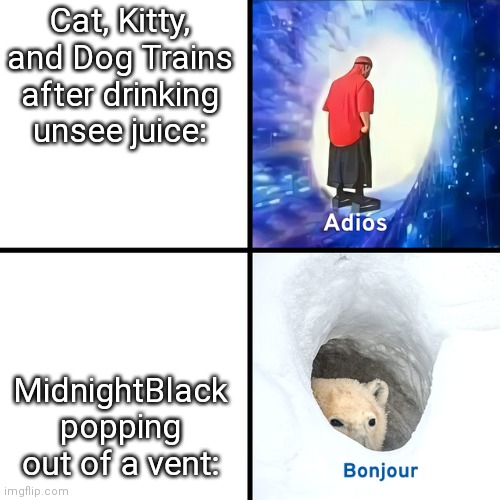 Adios Bonjour | Cat, Kitty, and Dog Trains after drinking unsee juice:; MidnightBlack popping out of a vent: | image tagged in adios bonjour | made w/ Imgflip meme maker