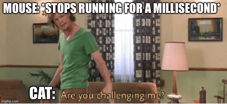 are you challenging me Memes - Imgflip