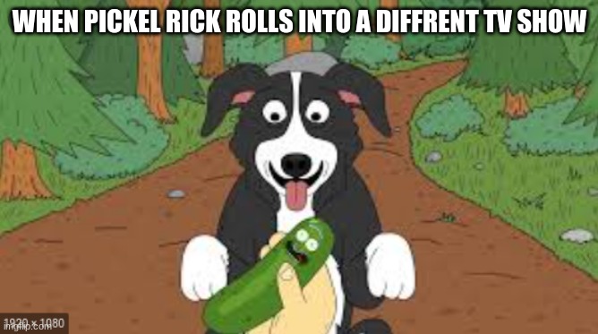 feeding a pickle | WHEN PICKEL RICK ROLLS INTO A DIFFRENT TV SHOW | image tagged in funny memes | made w/ Imgflip meme maker