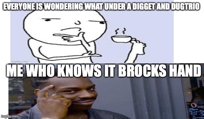 I have proof in the comments | EVERYONE IS WONDERING WHAT UNDER A DIGGET AND DUGTRIO; ME WHO KNOWS IT BROCKS HAND | image tagged in pokemon,memes,brock,roll safe think about it,thinking | made w/ Imgflip meme maker