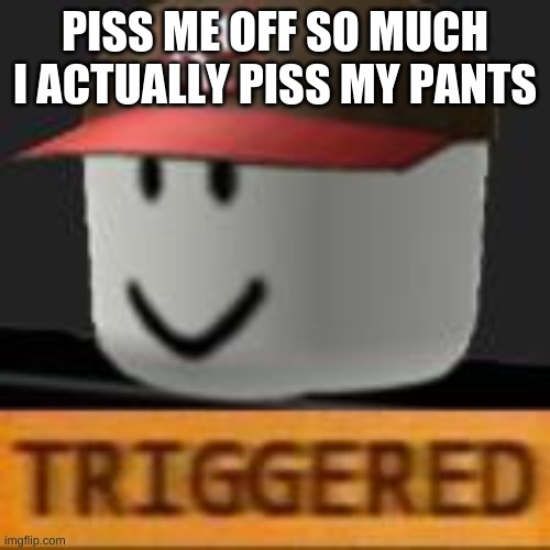 PISS ME OFF SO MUCH I ACTUALLY PISS MY PANTS | made w/ Imgflip meme maker