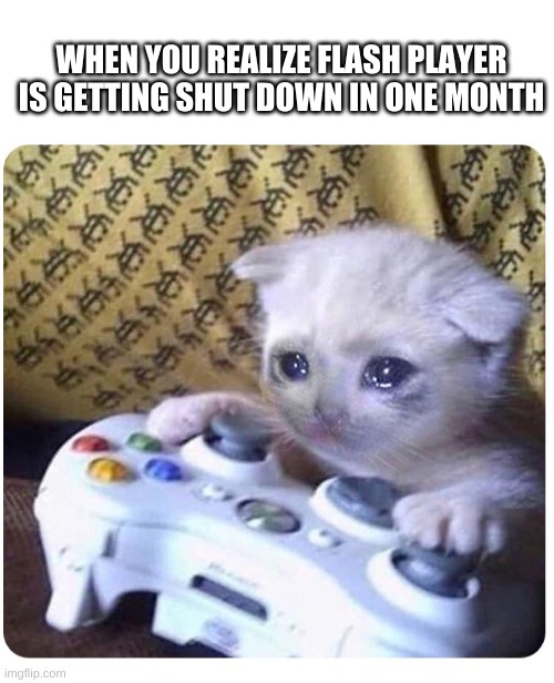 Finish playing your last games... | WHEN YOU REALIZE FLASH PLAYER IS GETTING SHUT DOWN IN ONE MONTH | image tagged in sad cat xbox | made w/ Imgflip meme maker