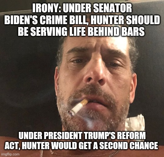 Hunter Biden | IRONY: UNDER SENATOR BIDEN'S CRIME BILL, HUNTER SHOULD BE SERVING LIFE BEHIND BARS; UNDER PRESIDENT TRUMP'S REFORM ACT, HUNTER WOULD GET A SECOND CHANCE | image tagged in hunter biden | made w/ Imgflip meme maker