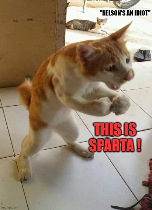 Cat 300 | "NELSON'S AN IDIOT"; THIS IS SPARTA ! | image tagged in cats,funny animals,this is sparta,crazy cat,funny memes,fun | made w/ Imgflip meme maker