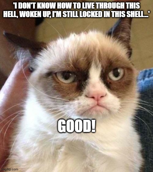 Trapped under ice | 'I DON'T KNOW HOW TO LIVE THROUGH THIS HELL, WOKEN UP, I'M STILL LOCKED IN THIS SHELL...'; GOOD! | image tagged in memes,grumpy cat reverse,grumpy cat,musically malicious grumpy cat,cats,funny | made w/ Imgflip meme maker