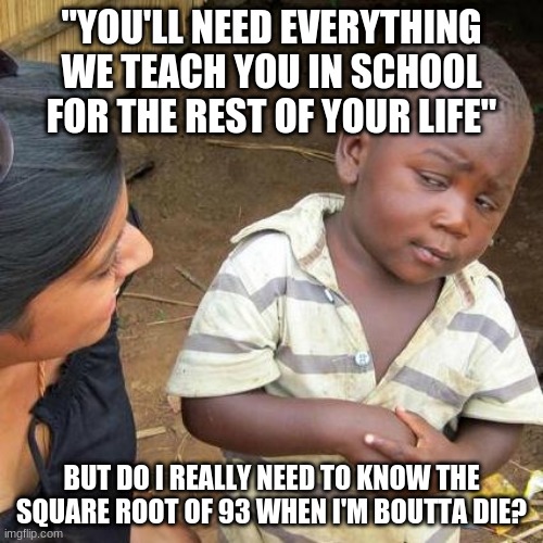 You need everything you learn | "YOU'LL NEED EVERYTHING WE TEACH YOU IN SCHOOL FOR THE REST OF YOUR LIFE"; BUT DO I REALLY NEED TO KNOW THE SQUARE ROOT OF 93 WHEN I'M BOUTTA DIE? | image tagged in memes,third world skeptical kid | made w/ Imgflip meme maker