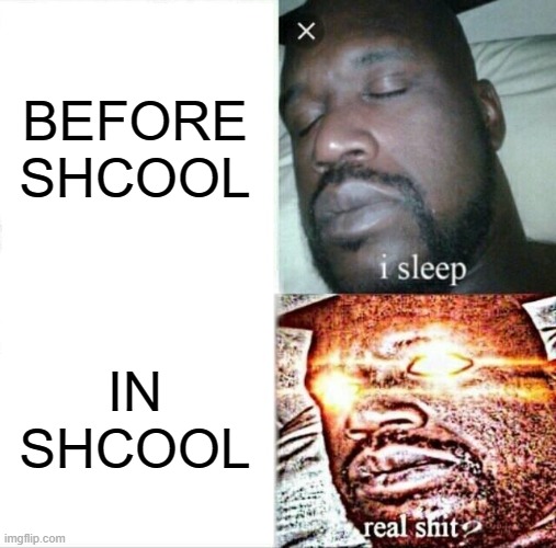 Sleeping Shaq | BEFORE SHCOOL; IN SHCOOL | image tagged in memes,sleeping shaq | made w/ Imgflip meme maker