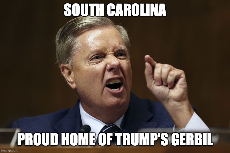 Trump's Gerbil | SOUTH CAROLINA; PROUD HOME OF TRUMP'S GERBIL | image tagged in lindsay graham snarling in a hissy fit | made w/ Imgflip meme maker
