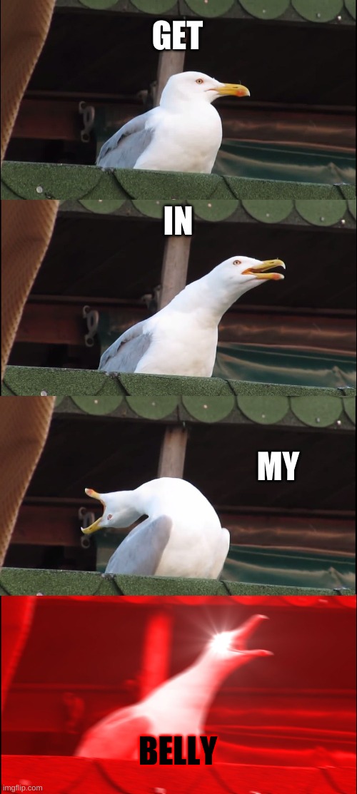 Inhaling Seagull | GET; IN; MY; BELLY | image tagged in memes,inhaling seagull | made w/ Imgflip meme maker