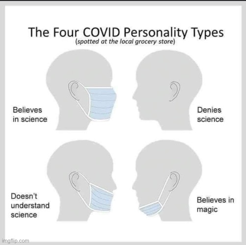 Covid personality types | image tagged in covid personality types | made w/ Imgflip meme maker