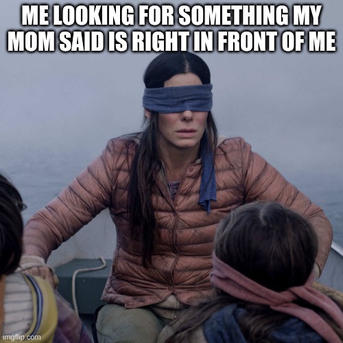 it do be tru tho | ME LOOKING FOR SOMETHING MY MOM SAID IS RIGHT IN FRONT OF ME | image tagged in memes,bird box | made w/ Imgflip meme maker