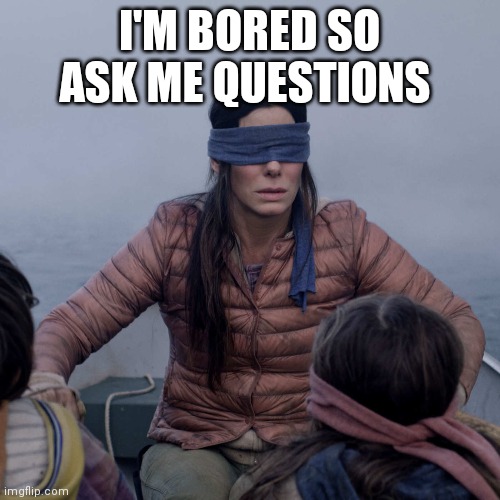Bird Box Meme | I'M BORED SO ASK ME QUESTIONS | image tagged in memes,bird box | made w/ Imgflip meme maker