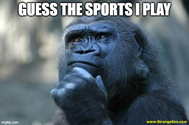 im really bored rn dont ask | GUESS THE SPORTS I PLAY | image tagged in deep thoughts | made w/ Imgflip meme maker