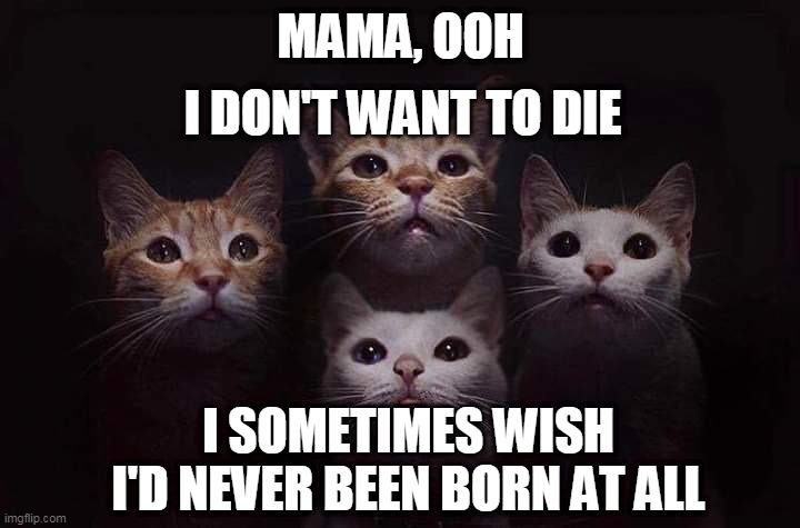 Mamaaa uuuuu | I DON'T WANT TO DIE; MAMA, OOH; I SOMETIMES WISH I'D NEVER BEEN BORN AT ALL | image tagged in bohemian catsody | made w/ Imgflip meme maker
