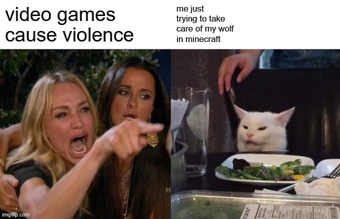 my wolf's name is austin btw | video games
cause violence; me just 
trying to take
care of my wolf
in minecraft | image tagged in memes,woman yelling at cat | made w/ Imgflip meme maker