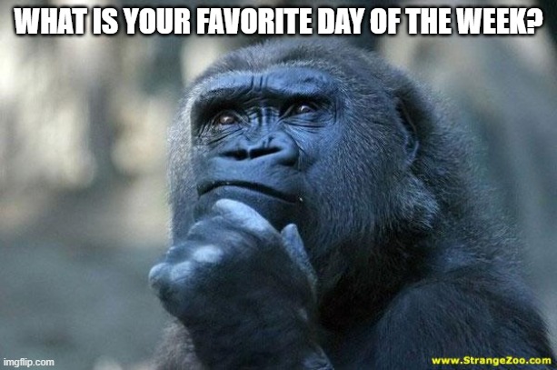 i like saturday | WHAT IS YOUR FAVORITE DAY OF THE WEEK? | image tagged in deep thoughts | made w/ Imgflip meme maker