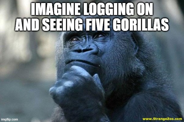 Deep Thoughts | IMAGINE LOGGING ON AND SEEING FIVE GORILLAS | image tagged in deep thoughts | made w/ Imgflip meme maker
