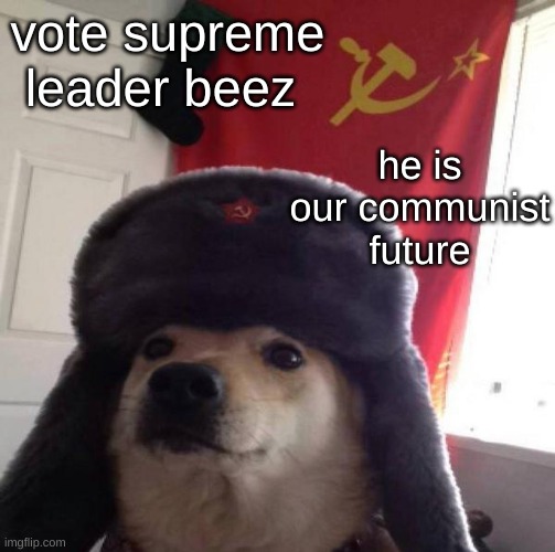Russian Doge | vote supreme leader beez he is our communist future | image tagged in russian doge | made w/ Imgflip meme maker