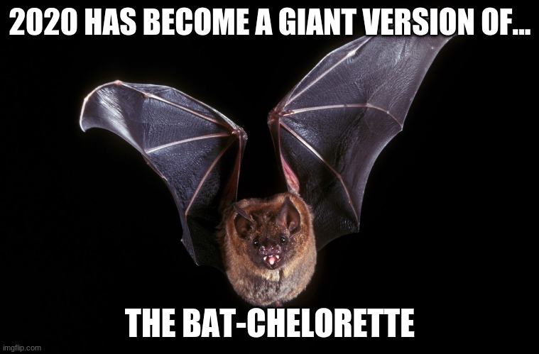 The Bat-chelorette | 2020 HAS BECOME A GIANT VERSION OF... THE BAT-CHELORETTE | image tagged in 2020 sucks | made w/ Imgflip meme maker