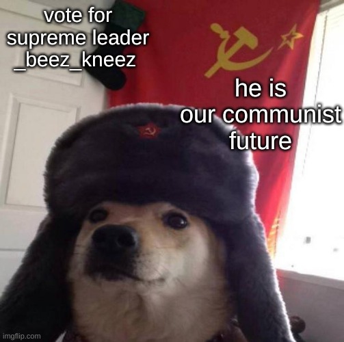 Russian Doge | he is our communist future; vote for supreme leader _beez_kneez | image tagged in russian doge | made w/ Imgflip meme maker