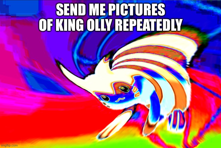 Origami hell | SEND ME PICTURES OF KING OLLY REPEATEDLY | image tagged in cursed furret,mistake,help me | made w/ Imgflip meme maker