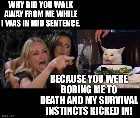 Woman yelling at cat | WHY DID YOU WALK AWAY FROM ME WHILE I WAS IN MID SENTENCE. BECAUSE YOU WERE BORING ME TO DEATH AND MY SURVIVAL INSTINCTS KICKED IN! | image tagged in woman yelling at cat | made w/ Imgflip meme maker
