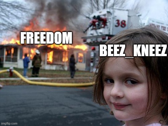 DOWN WITH THE DISSENTING SWINE. Vote The_Beez_Kneez | BEEZ_KNEEZ; FREEDOM | image tagged in memes,disaster girl | made w/ Imgflip meme maker