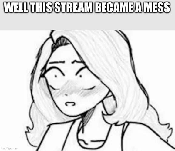 I’ll explain the template name if you asked | WELL THIS STREAM BECAME A MESS | image tagged in shocked trans girl | made w/ Imgflip meme maker
