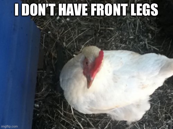 Angry Chicken Boss Meme | I DON’T HAVE FRONT LEGS | image tagged in memes,angry chicken boss | made w/ Imgflip meme maker