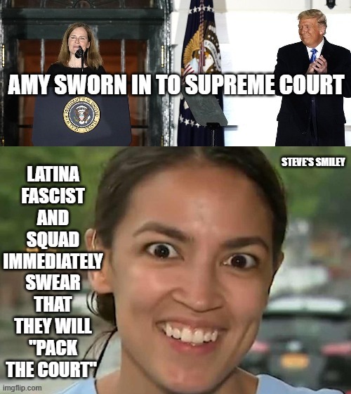 politics | STEVE'S SMILEY | image tagged in political meme | made w/ Imgflip meme maker