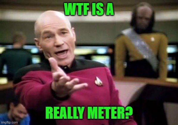 Picard Wtf Meme | WTF IS A REALLY METER? | image tagged in memes,picard wtf | made w/ Imgflip meme maker