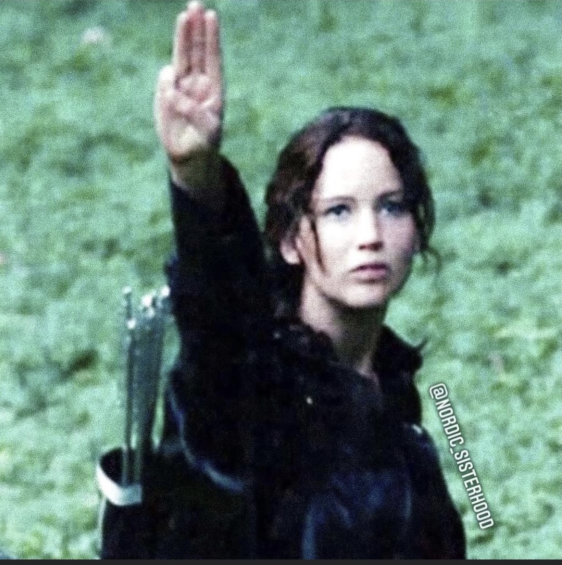 May the odds be in America’s favor Blank Meme Template