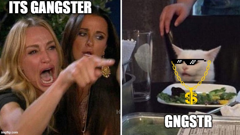 Woman yelling at white cat | ITS GANGSTER; GNGSTR | image tagged in woman yelling at white cat | made w/ Imgflip meme maker