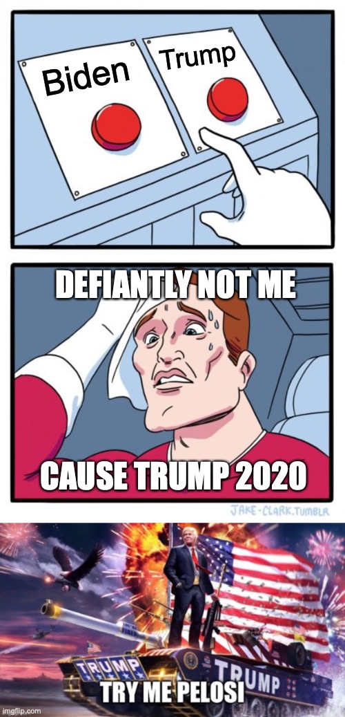 Stupid Voters | Trump; Biden; DEFIANTLY NOT ME; CAUSE TRUMP 2020 | image tagged in memes,two buttons | made w/ Imgflip meme maker