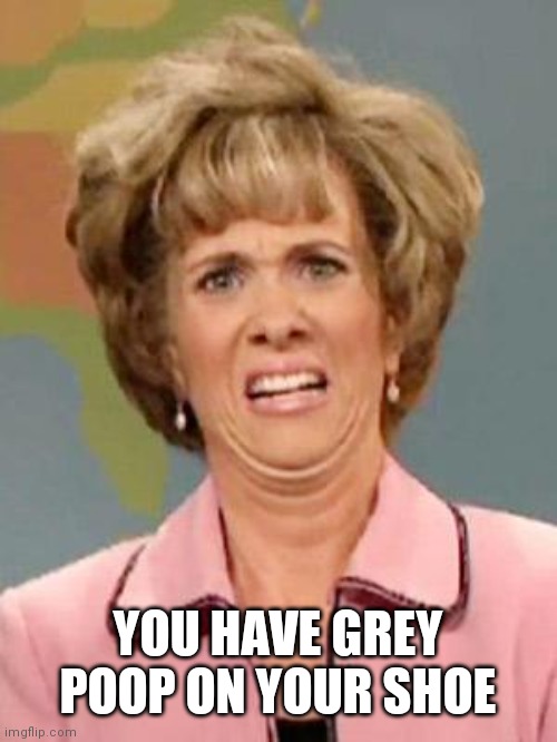 Grossed Out | YOU HAVE GREY POOP ON YOUR SHOE | image tagged in grossed out | made w/ Imgflip meme maker
